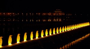 prag_pingviner
