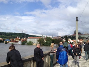 foto(11)