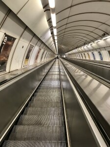 IMG_1883