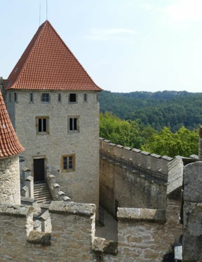 Kokorin borg